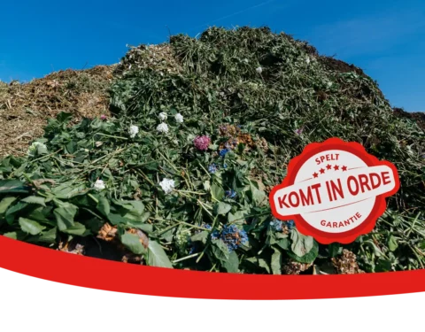 shapestampimage-480x375